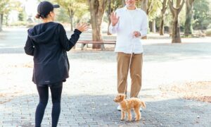 ご近所様と挨拶